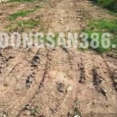 Bán đất nền 5x18m trung tâm xã Long Hòa – Cách KCN Cầu Tràm chỉ 5 phút